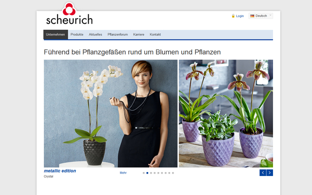 TYPO3 basierte Website